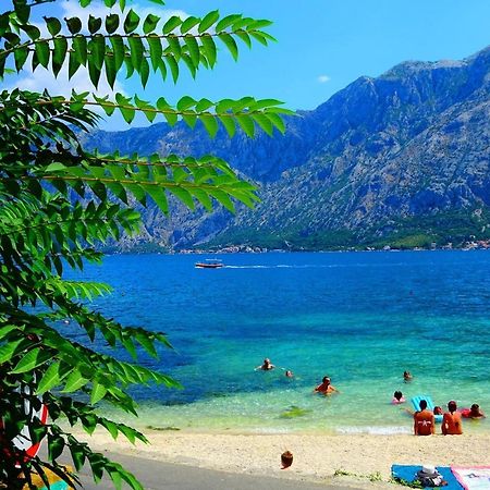 Bay Of Kotor View Apartment With Pool Prčanj 외부 사진