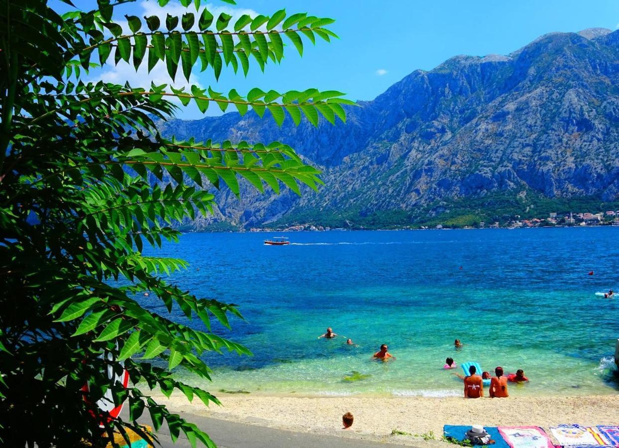 Bay Of Kotor View Apartment With Pool Prčanj 외부 사진